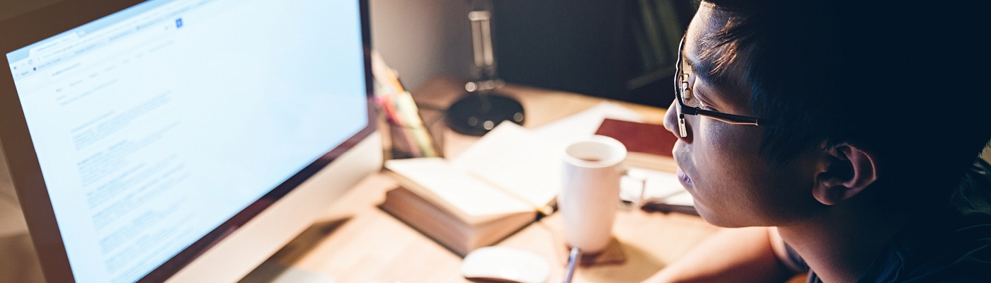 Security, integrity, privacy and pedagogy: examining the risks of online testing